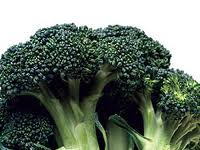 Broccoli-Revolution~Marathon