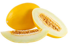Melon-Yellow Canary