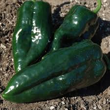 Peppers (Hot F1)