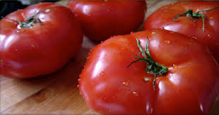 Tomato - OP Superstrain B