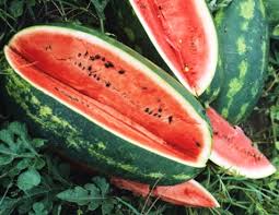 Watermelon-Jubilee